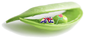 Labour and BNP - peas in a pod